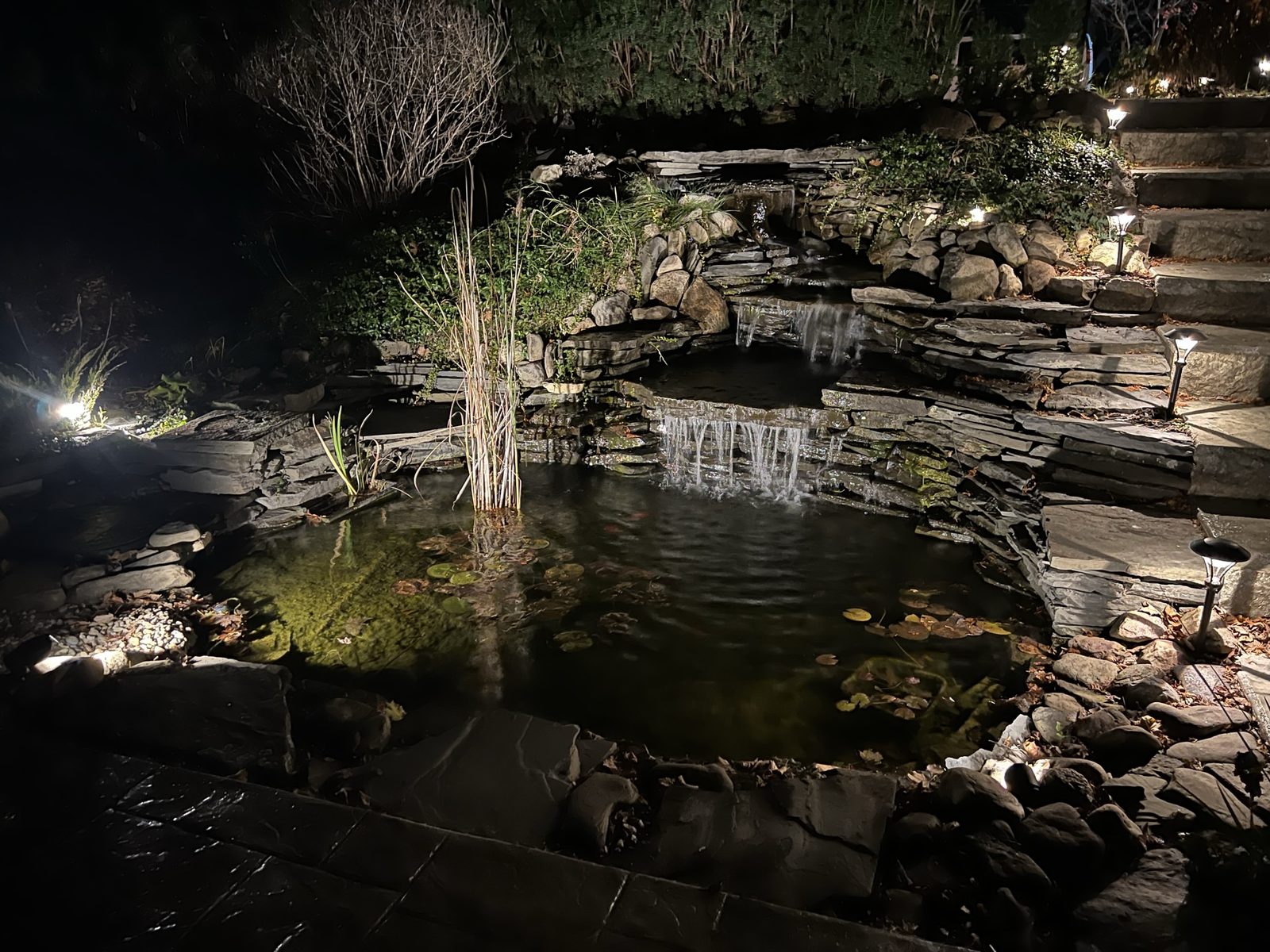 Low-voltage landscape and pond lighting at night